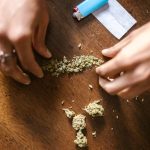 Выращивание не автоцветущих семян конопли