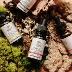 Приобретение семян конопли почтой в России