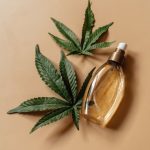 Семена конопли Chem Beyond Diesel C.B.D. feminised от Sweet Seeds