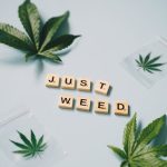 Где заказать семена конопли и как их правильно выбрать image_141.jpg