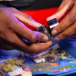 Купить семена конопли в Петербурге