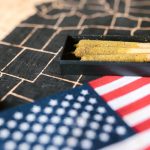 Полезные свойства и использование конопляных семян image_178.jpg