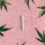 Почему семена конопли не прорастают и как решить проблему