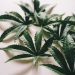 Ответственность за покупку семян марихуаны