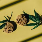 Семена конопли Auto Baikonur feminised от Bang Seeds image_281.jpg