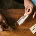 Покупка и выращивание семян конопли