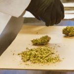 Семена конопли полезные свойства и применение