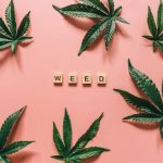 Автоцветущие Семена Конопли Преимущества и Особенности Выращивания image_319.jpg