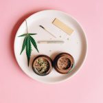 Семена конопли Moby Dick feminised от компании Green House Seeds