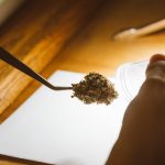 Семена конопли Auto AK feminised от Grass-o-Matic: особенности и преимущества использования image_325.jpg