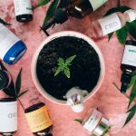 Питер семена конопли полезные свойства и применение