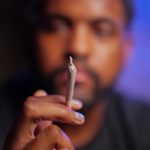 Семена конопли Auto Black Jack feminised от Ganja Seeds image_410.jpg