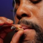 Семена конопли и их выращивание