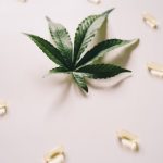 Особенности семян однодомной конопли