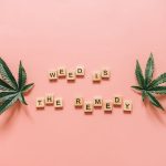 Auto Compassion Lime CBD feminised от Dutch Passion Seeds: особенности и преимущества сорта