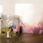 Семена марихуаны АК 47 особенности выращивания и преимущества сорта