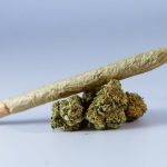 Купить семена конопли в Симферополе: руководство к действию