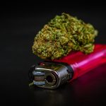 Приобретение семян конопли: источники и рекомендации