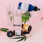 Семена конопли White Widow от Dutch Passion Seeds