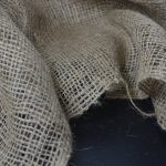 Семена конопли полезные свойства и применение в Украине