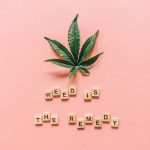 Покупка семян марихуаны: как сделать правильный выбор image_97.jpg