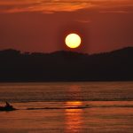 Селекционная конопля и ее преимущества images139.jpg