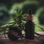 Семена конопли Auto Skunk feminised от Ganja Seeds