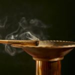 Почему не прорастают семена марихуаны и как решить эту проблему