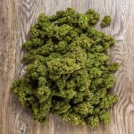 Семена конопли Massive Haze feminised от Ganja Seeds images311.jpg