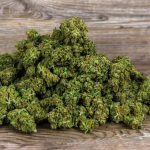 Семена конопли Auto Kritic feminised от Kannabia Seeds images343.jpg