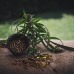 Покупка семян марихуаны онлайн: как выбрать надежный сайт и обеспечить безопасность images38.jpg