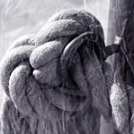 Семена конопли сатива полезные свойства и применение