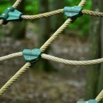 Срок хранения семян конопли