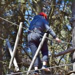 Преимущества и применение украинских семян конопли