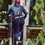 Семена конопли сорта Lemon OG Candy feminised от Philosopher Seeds