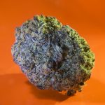 Canadian Kush 2.0 феминизированные семена конопли от Medical Seeds images468.jpg