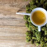 Выращивание конопли с нуля до урожая