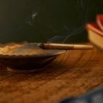 Покупка семян марихуаны что следует знать перед приобретением