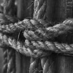 Сорт конопли Афганка характеристики и особенности выращивания image_119.jpg