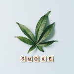 Покупка и выращивание семян конопли в Москве