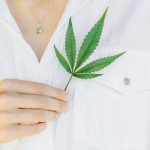 Срок прорастания семян конопли и факторы, влияющие на этот процесс image_215.jpg