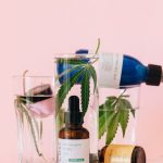 Конопля в России: история, современное состояние и перспективы развития