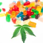 Голландские семена конопли качество и применение image_237.jpg