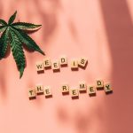 Прорастание семян марихуаны в земле: время и условия для успешного выращивания