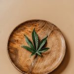 Купить семена конопли в Москве: магазины и онлайн-площадки image_307.jpg