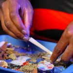 Семена конопли Auto Tobol feminised от Bang Seeds