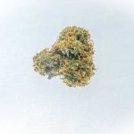 Семена конопли польза и применение в кулинарии и медицине image_358.jpg