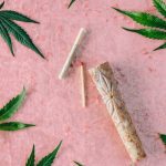 Сорт конопли Irtysh feminised от производителя Bang Seeds