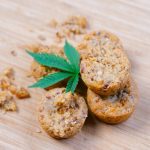 Выбор семян конопли для выращивания