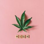 Покупка семян марихуаны в интернет-магазине